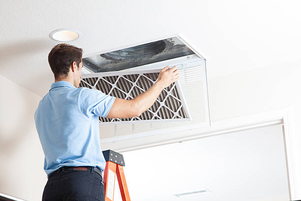 Best Seasonal HVAC Services in St Charles, MI